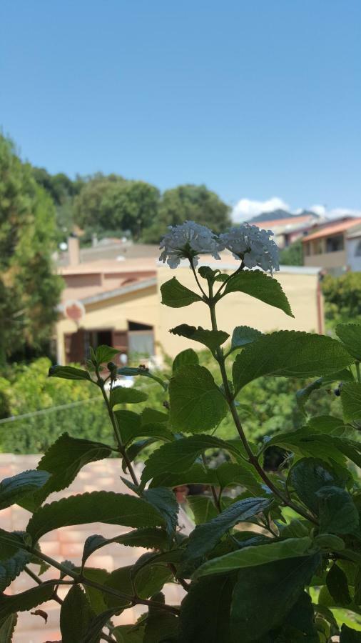 Il Girasole Bed & Breakfast Домус де Мария Екстериор снимка